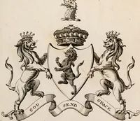 An illustration from The peerage of Ireland : or, A genealogical history of the present nobility of that kingdom (1789)