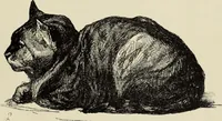 An illustration from Pen drawing and pen draughtsmen : their work and their methods : a study of the art today with technical suggestions (1920)