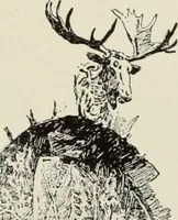 An illustration from Pen drawing and pen draughtsmen : their work and their methods : a study of the art today with technical suggestions (1920)
