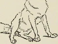 An illustration from Pen drawing and pen draughtsmen : their work and their methods : a study of the art today with technical suggestions (1920)