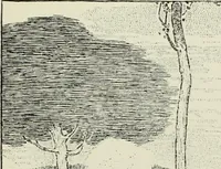 An illustration from Pen drawing and pen draughtsmen : their work and their methods : a study of the art today with technical suggestions (1920)