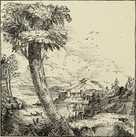 An illustration from Pen drawing and pen draughtsmen : their work and their methods : a study of the art today with technical suggestions (1920)