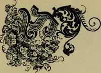 An illustration from The penman's hand-book : for penmen and students, embracing a history of writing ... many complete alphabets ... ; Also, Chapters on teaching penmanship, business letter writing, off-hand flourishing ... etc. (1883)