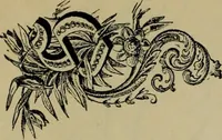 An illustration from The penman's hand-book : for penmen and students, embracing a history of writing ... many complete alphabets ... ; Also, Chapters on teaching penmanship, business letter writing, off-hand flourishing ... etc. (1883)