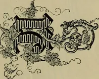 An illustration from The penman's hand-book : for penmen and students, embracing a history of writing ... many complete alphabets ... ; Also, Chapters on teaching penmanship, business letter writing, off-hand flourishing ... etc. (1883)