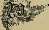 An illustration from The penman's hand-book : for penmen and students, embracing a history of writing ... many complete alphabets ... ; Also, Chapters on teaching penmanship, business letter writing, off-hand flourishing ... etc. (1883)