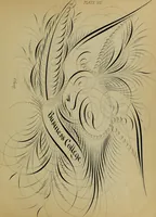 Picture 119 of 186 from The penman's hand-book : for penmen and students, embracing a history of writing ... many complete alphabets ... ; Also, Chapters on teaching penmanship, business letter writing, off-hand flourishing ... etc. (1883), leaf 110
