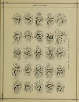An illustration from The penman's hand-book : for penmen and students, embracing a history of writing ... many complete alphabets ... ; Also, Chapters on teaching penmanship, business letter writing, off-hand flourishing ... etc. (1883)