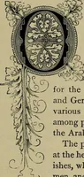 An illustration from The penman's hand-book : for penmen and students, embracing a history of writing ... many complete alphabets ... ; Also, Chapters on teaching penmanship, business letter writing, off-hand flourishing ... etc. (1883)