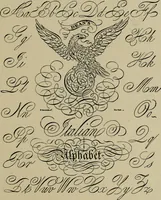 Picture 136 of 186 from The penman's hand-book : for penmen and students, embracing a history of writing ... many complete alphabets ... ; Also, Chapters on teaching penmanship, business letter writing, off-hand flourishing ... etc. (1883), leaf 134