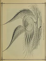 Picture 141 of 186 from The penman's hand-book : for penmen and students, embracing a history of writing ... many complete alphabets ... ; Also, Chapters on teaching penmanship, business letter writing, off-hand flourishing ... etc. (1883), leaf 144
