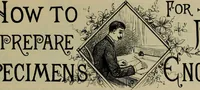 Picture 143 of 186 from The penman's hand-book : for penmen and students, embracing a history of writing ... many complete alphabets ... ; Also, Chapters on teaching penmanship, business letter writing, off-hand flourishing ... etc. (1883), leaf 148