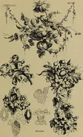 Picture 175 of 186 from The penman's hand-book : for penmen and students, embracing a history of writing ... many complete alphabets ... ; Also, Chapters on teaching penmanship, business letter writing, off-hand flourishing ... etc. (1883), leaf 234
