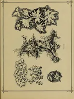 An illustration from The penman's hand-book : for penmen and students, embracing a history of writing ... many complete alphabets ... ; Also, Chapters on teaching penmanship, business letter writing, off-hand flourishing ... etc. (1883)