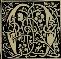 Picture 40 of 186 from The penman's hand-book : for penmen and students, embracing a history of writing ... many complete alphabets ... ; Also, Chapters on teaching penmanship, business letter writing, off-hand flourishing ... etc. (1883), leaf 42