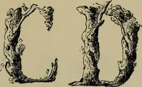 Picture 58 of 186 from The penman's hand-book : for penmen and students, embracing a history of writing ... many complete alphabets ... ; Also, Chapters on teaching penmanship, business letter writing, off-hand flourishing ... etc. (1883), leaf 64