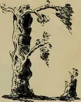 An illustration from The penman's hand-book : for penmen and students, embracing a history of writing ... many complete alphabets ... ; Also, Chapters on teaching penmanship, business letter writing, off-hand flourishing ... etc. (1883)