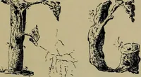 Picture 60 of 186 from The penman's hand-book : for penmen and students, embracing a history of writing ... many complete alphabets ... ; Also, Chapters on teaching penmanship, business letter writing, off-hand flourishing ... etc. (1883), leaf 64