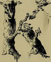 An illustration from The penman's hand-book : for penmen and students, embracing a history of writing ... many complete alphabets ... ; Also, Chapters on teaching penmanship, business letter writing, off-hand flourishing ... etc. (1883)