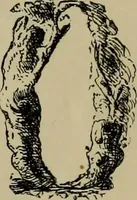 Picture 64 of 186 from The penman's hand-book : for penmen and students, embracing a history of writing ... many complete alphabets ... ; Also, Chapters on teaching penmanship, business letter writing, off-hand flourishing ... etc. (1883), leaf 64