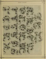 Picture 91 of 186 from The penman's hand-book : for penmen and students, embracing a history of writing ... many complete alphabets ... ; Also, Chapters on teaching penmanship, business letter writing, off-hand flourishing ... etc. (1883), leaf 88