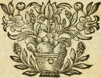 An illustration from Pensées diverses ecrites à un docteur de Sorbonne a l'occasion de la comete, qui parut au mois de Decembre 1680 (1749)