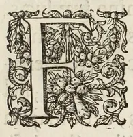 An illustration from Pentēkontarchos, sive, Quinquaginta militum ductor (1612)