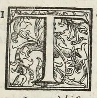 An illustration from Perfette regole, et modi di caualcare (1625)