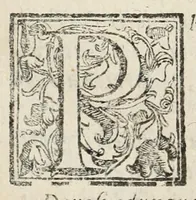 Picture 4 of 15 from Perfette regole, et modi di caualcare (1625), leaf 15
