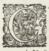 An illustration from Perfette regole, et modi di caualcare (1625)