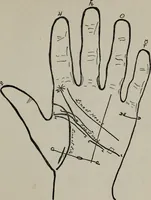 An illustration from Perin's science of palmistry; a complete and authentic treatise (1902)