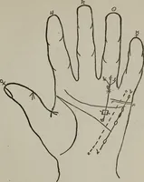 An illustration from Perin's science of palmistry; a complete and authentic treatise (1902)