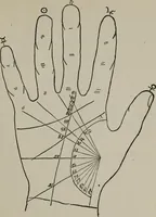 An illustration from Perin's science of palmistry; a complete and authentic treatise (1902)