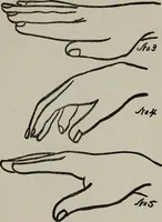 An illustration from Perin's science of palmistry; a complete and authentic treatise (1902)