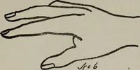 An illustration from Perin's science of palmistry; a complete and authentic treatise (1902)