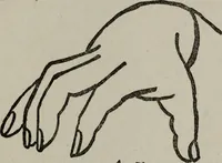 An illustration from Perin's science of palmistry; a complete and authentic treatise (1902)