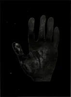 An illustration from Perin's science of palmistry; a complete and authentic treatise (1902)