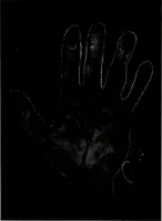 An illustration from Perin's science of palmistry; a complete and authentic treatise (1902)