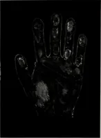 An illustration from Perin's science of palmistry; a complete and authentic treatise (1902)