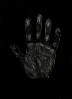 An illustration from Perin's science of palmistry; a complete and authentic treatise (1902)