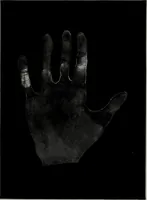 An illustration from Perin's science of palmistry; a complete and authentic treatise (1902)