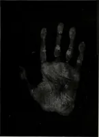 An illustration from Perin's science of palmistry; a complete and authentic treatise (1902)