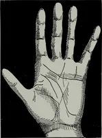 An illustration from Perin's science of palmistry; a complete and authentic treatise (1902)