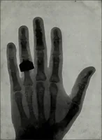 An illustration from Perin's science of palmistry; a complete and authentic treatise (1902)