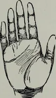An illustration from Perin's science of palmistry; a complete and authentic treatise (1902)