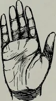 An illustration from Perin's science of palmistry; a complete and authentic treatise (1902)