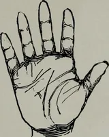 An illustration from Perin's science of palmistry; a complete and authentic treatise (1902)