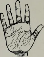 An illustration from Perin's science of palmistry; a complete and authentic treatise (1902)