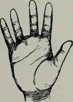 An illustration from Perin's science of palmistry; a complete and authentic treatise (1902)