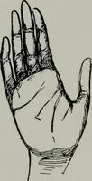 An illustration from Perin's science of palmistry; a complete and authentic treatise (1902)